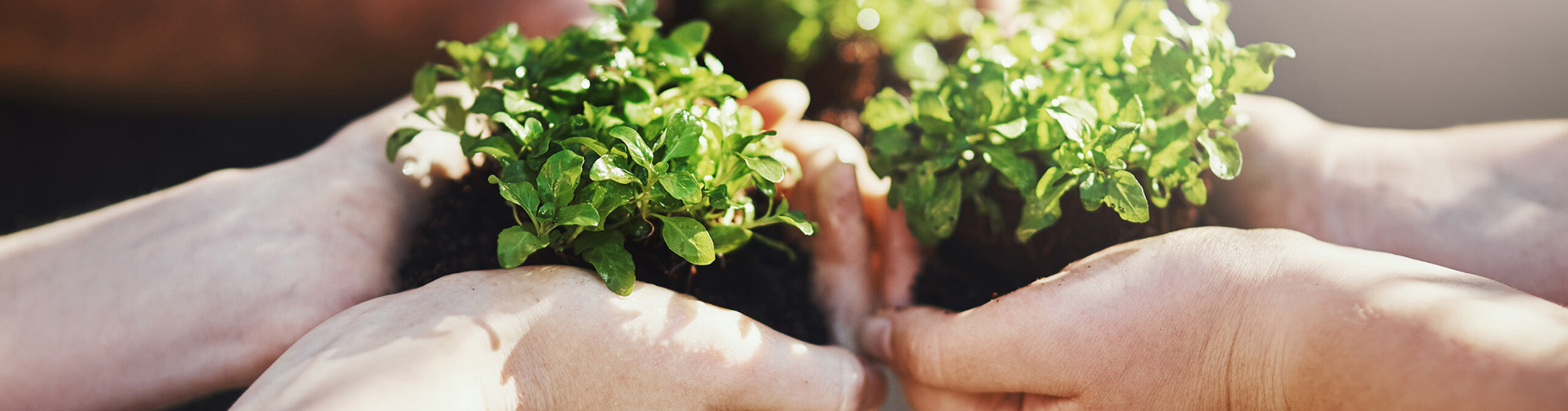 Header_EuroMouldings_Sustainability_Initiatives Header_EuroMouldings_Sustainability_Initiatives