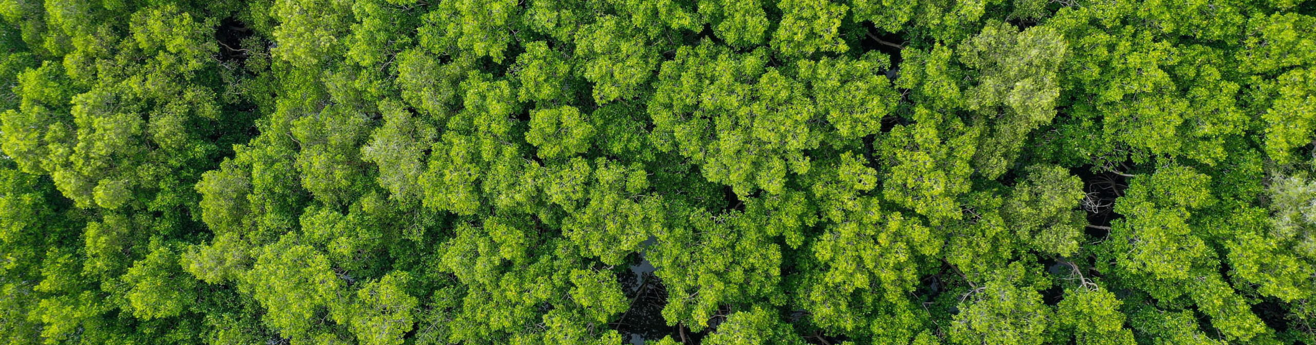 Header_EuroMouldings_Sustainability_From-linear-to-circular Header_EuroMouldings_Sustainability_From-linear-to-circular