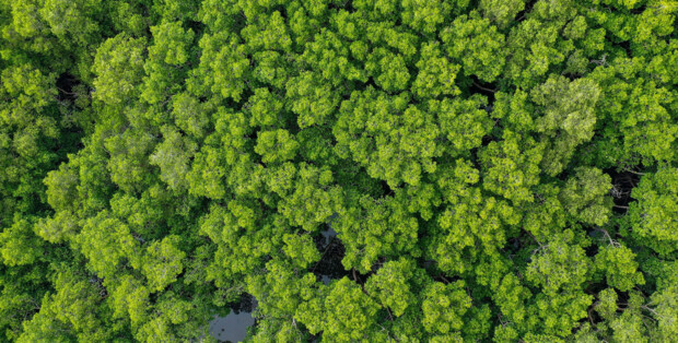 Button_EuroMouldings_Sustainability_From-linear-to-circular Button_EuroMouldings_Sustainability_From-linear-to-circular