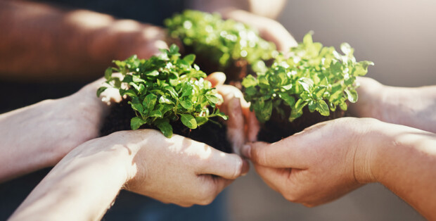 Header_EuroMouldings_Sustainability_Initiatives Header_EuroMouldings_Sustainability_Initiatives