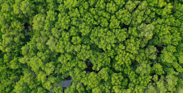 Header_EuroMouldings_Sustainability_From-linear-to-circular Header_EuroMouldings_Sustainability_From-linear-to-circular